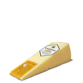 Fontina